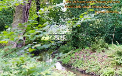 "Wer sich am Leben freuen möchte, findet stets einen Grund dazu." Thomas Romanus