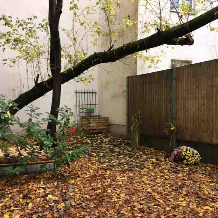 Der herbstliche Garten der Coachingpraxis mit buntem Laub auf der Erde.