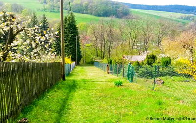 Hypnose hilft bei schneller Verhaltensänderung und der Lösung von Konflikten