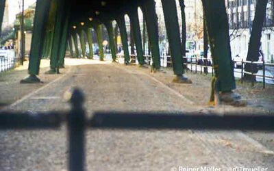 "Feste Entschlossenheit und Klarheit im Inneren, sanfte Anpassung und Stärke im Äußeren, das ist der Weg, um etwas zu erreichen." I Ging