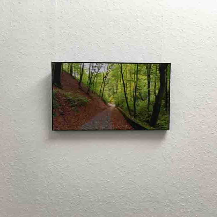 Ein Foto von Reiner Müller hängt an der Wand. Es zeigt einen herbstlichen Weg, der in einem Wald berg runter führt.
