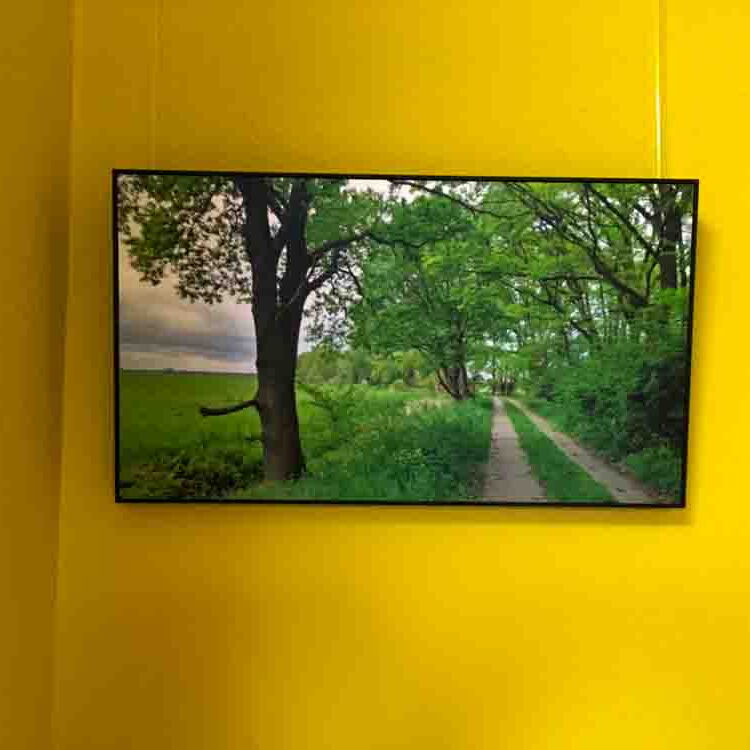 An der gelben Wand hängt ein Foto von Reiner Müller. Es zeigt im Frühling einen Weg zwischen einem Feldrand und einem Wald.